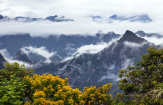 Andes Salkantay Trek with Machu Picchu