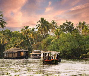 Scenic Tour of South India: Seaside Kerala