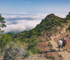 Walking Tour of Madeira