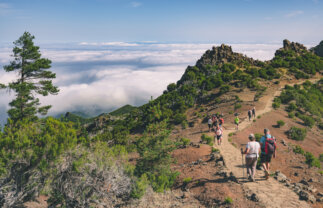 Walking Tour of Madeira