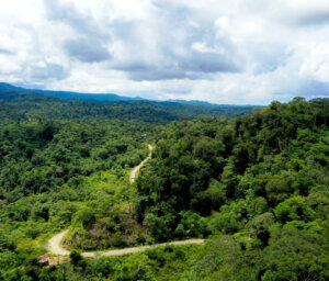 Ecuador Cultural Experience: Local Living in the Amazon