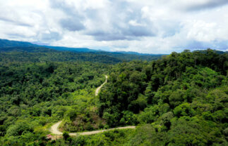 Ecuador Cultural Experience: Local Living in the Amazon