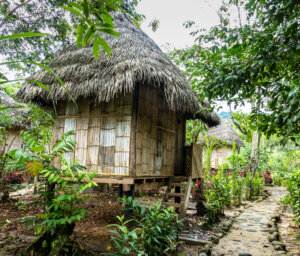 Ecuador Cultural Experience: Local Living in the Amazon