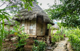 Ecuador Cultural Experience: Local Living in the Amazon