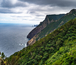 Walking Tour of Madeira