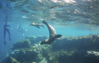 Complete Sailing Tour of the Galapagos