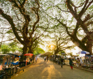 Scenic Tour of South India: Seaside Kerala