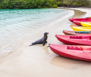 Active Tour of the Galapagos with Quito