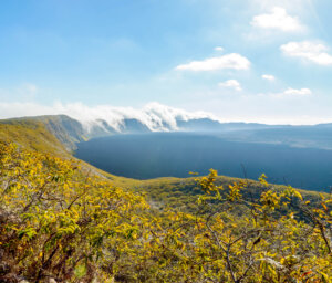 Complete Sailing Tour of the Galapagos