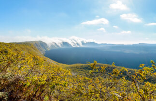 Complete Sailing Tour of the Galapagos