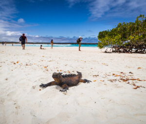 Galapagos Sailing Tour: Best of the Central Islands