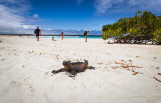 Galapagos Sailing Tour: Best of the Central Islands