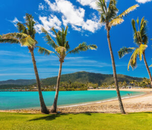 Australia East Coast Adventure for Young Adults: Brisbane to Cairns