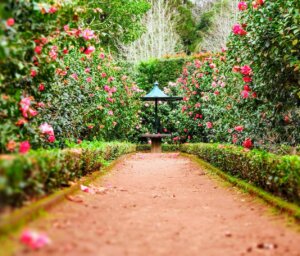 Hiking Tour of the Azores