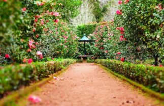 Hiking Tour of the Azores