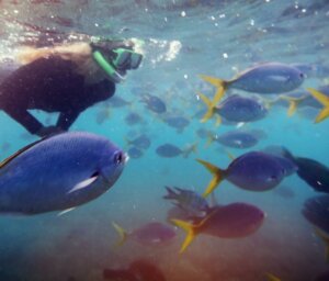 Small Group Scenic Tour of Australia’s East Coast