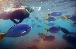 Small Group Scenic Tour of Australia’s East Coast