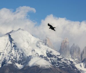 Two Week Adventure in Patagonia