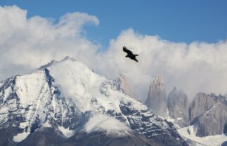 Two Week Adventure in Patagonia