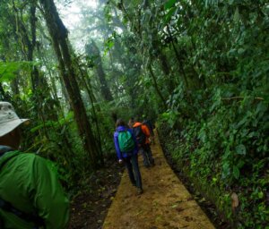 Nature & Adventure Small Group Tour of Costa Rica