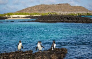 Sailing Tour of the Galapagos: Central & Eastern Islands