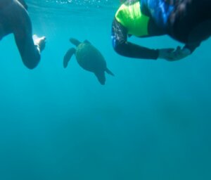 Active Tour of the Galapagos with Quito