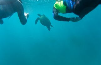 Active Tour of the Galapagos with Quito