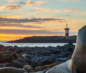 Sailing in the Galapagos (Cruise Only): Eastern Islands