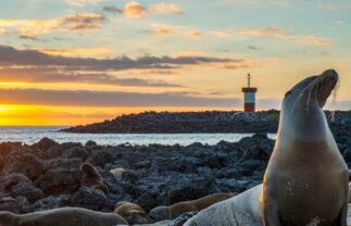 Sailing in the Galapagos (Cruise Only): Eastern Islands