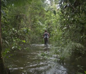 Small Group Ecuadorian Adventure: Amazon & Andes