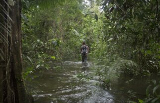 Small Group Ecuadorian Adventure: Amazon & Andes