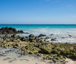 9-Day Small Group Galapagos Island Tour