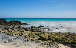 9-Day Small Group Galapagos Island Tour