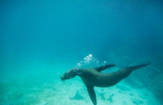 Galapagos Sailing Tour: Best of the Central Islands