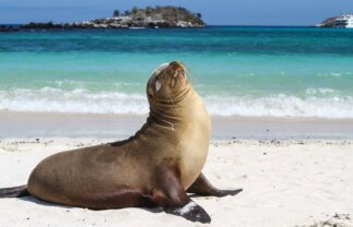 Hiking & Snorkelling Galapagos Islands Sailing Tour