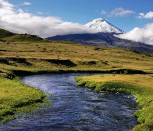 Cultural & Nature Tour of Ecuador: Amazon & Andes