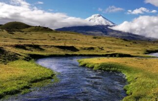 Cultural & Nature Tour of Ecuador: Amazon & Andes