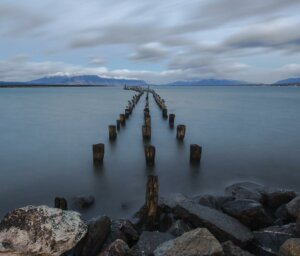 Best of Patagonia Scenic and Wildlife Tour with Cruises