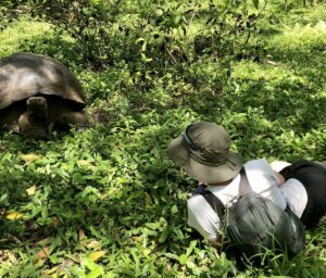 Wilderness & Wildlife of the Galapagos for Young Adults