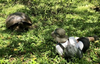 Wilderness & Wildlife of the Galapagos for Young Adults