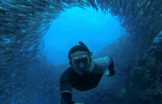 Small Group Tour of the Galapagos Islands from Quito