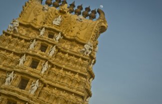 Highlights of Southern India Round-Trip Tour