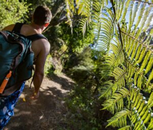 Adventure Tour of New Zealand for Young Travellers