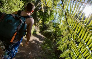 Adventure Tour of New Zealand for Young Travellers