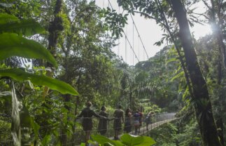 Nature & Adventure Small Group Tour of Costa Rica