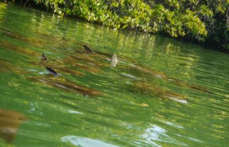 Grand Sailing Tour of the Galapagos