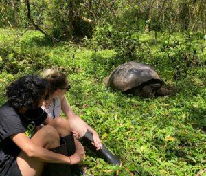 Wilderness & Wildlife of the Galapagos for Young Adults