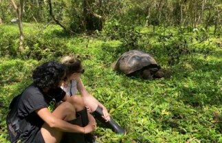 Wilderness & Wildlife of the Galapagos for Young Adults