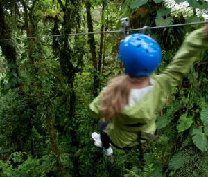 Cultural & Nature Tour of Ecuador: Amazon & Andes