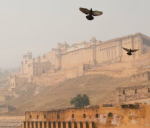 Nothern India City Tour for Young Travellers